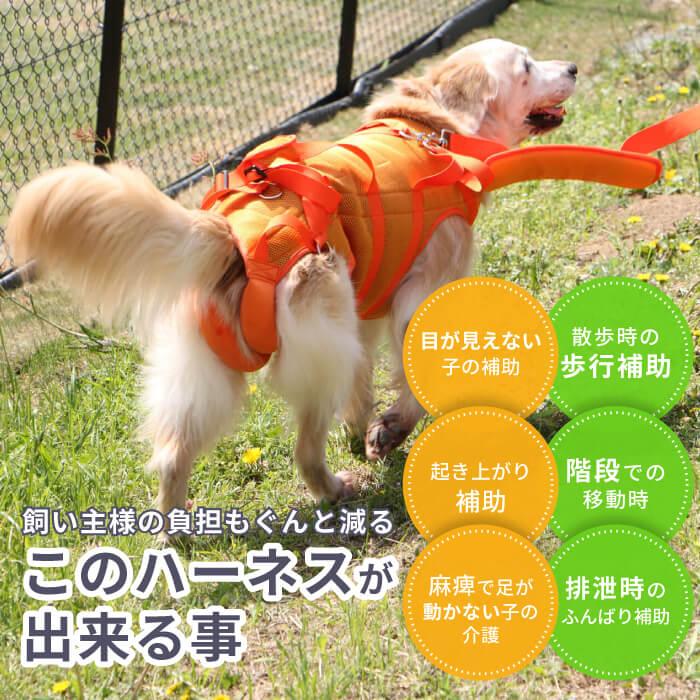 犬 介護用ハーネス 通年快適 後ろ足 歩行補助 大型犬用 メッシュ 3wayケアハーネスプレミアム 7号 5829｜pomp-ya｜03