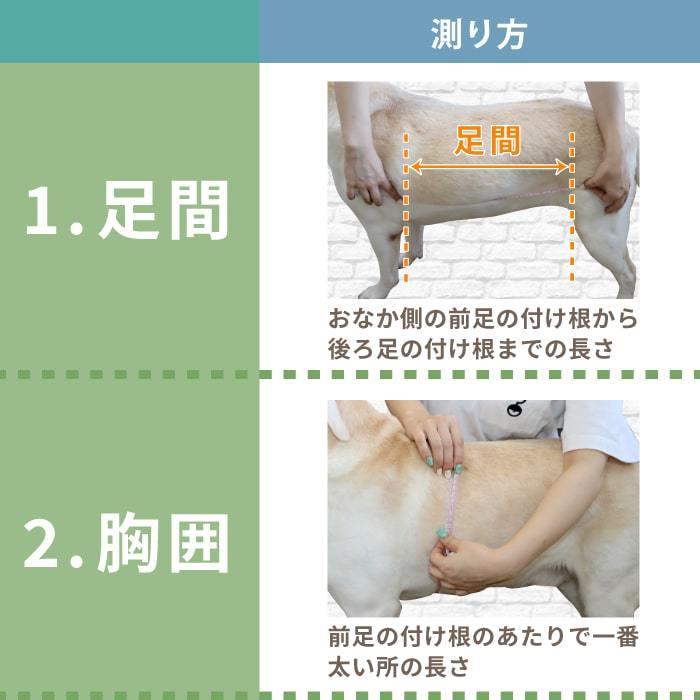 ご購入 試着 後のサイズ交換可能 中型犬 大型犬用介護用品 介護ハーネス オス メス兼用 メッシュ3wayケアハーネス 8号 ポンポリース 5849 5849 08 ポンポリース直営yahoo 店 通販 Yahoo ショッピング