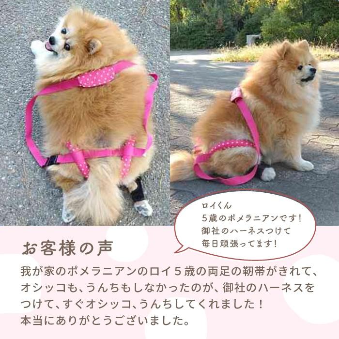 サポートドーナツリング