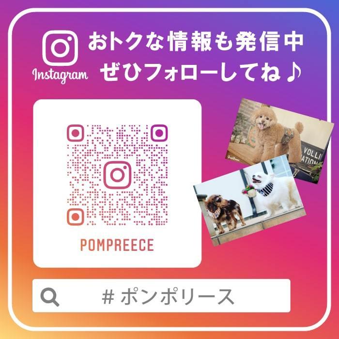 エリザベスカラー が苦手な子に オーガニック 術後ケア 傷口保護 犬用 術後服 術後カバーオール オーガニックボーダ2〜5号 ポンポリース 5874 | PomPreece | 07