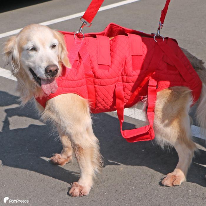 中・大型犬用 3WAYケアハーネス ポンポンリース 大型犬介護用品 楽天市場】【在庫処分セール品】犬 ハーネス 介護用ハーネス
