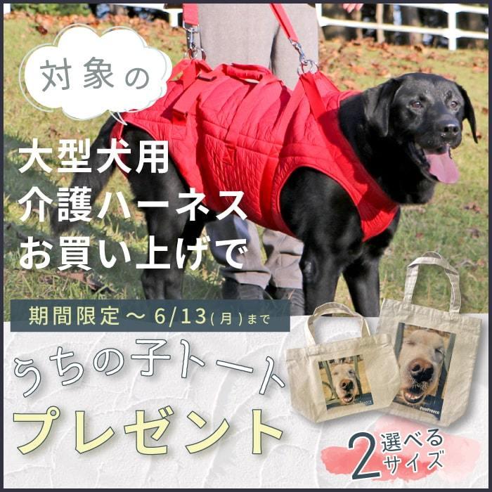 殿堂 犬 介護 介護用品 ハーネス 歩行補助 サポート 老犬 シニア 中 大型犬用 3wayケアハーネス メッシュ生地 オス メス兼用 7 10号 ポンポリース Discoversvg Com