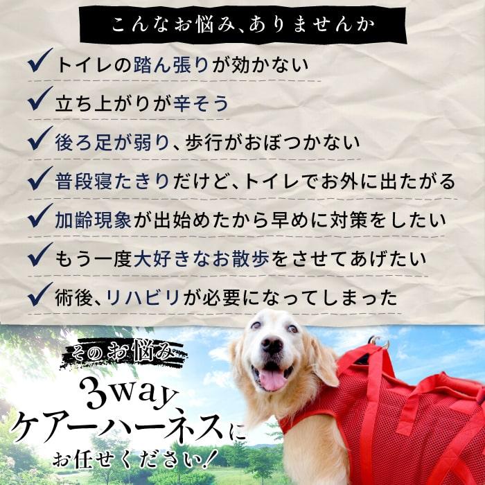 【在庫処分セール品】犬 介護用ハーネス 後ろ足 歩行補助 小中型犬 3WAYケアハーネス メッシュ オス・メス兼用 2〜4号 5877※返品交換不可 | PomPreece | 01