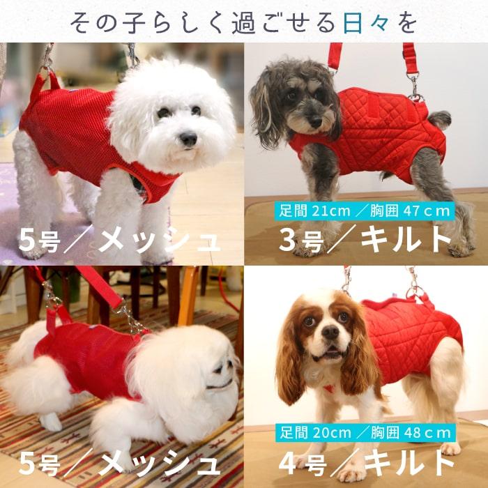 【在庫処分セール品】犬 介護用ハーネス 後ろ足 歩行補助 中型犬 3WAYケアハーネス メッシュ オス・メス兼用 5・6号 5877※返品交換不可 | PomPreece | 17