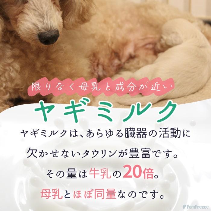 犬 猫 補助食品ヤギミルク80g ポンポリース 9018 | PomPreece | 01