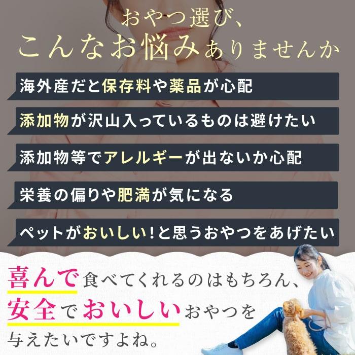 犬 ドッグフード ペットフード ごはん おやつ 日本産 高タンパク 低カロリー 国産  ごはん おやつ 日本産 野菜フリーズドライ 馬肉  介護 ポンポリース 9114｜pomp-ya｜12