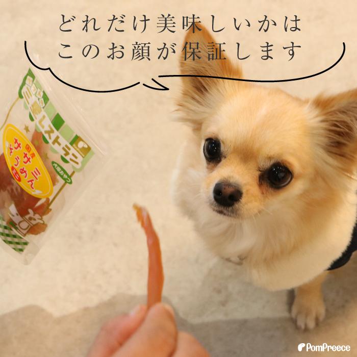 犬 おやつ 無添加 国産 オヤツ　ドッグフード ペット ささみ　やわわらかい　ササミそうめんミニ ポンポリース｜pomp-ya｜03