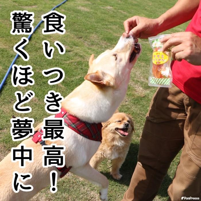 犬 おやつ 無添加 国産 オヤツ　ドッグフード ペット ささみ　やわわらかい　ササミそうめんミニ ポンポリース｜pomp-ya｜02