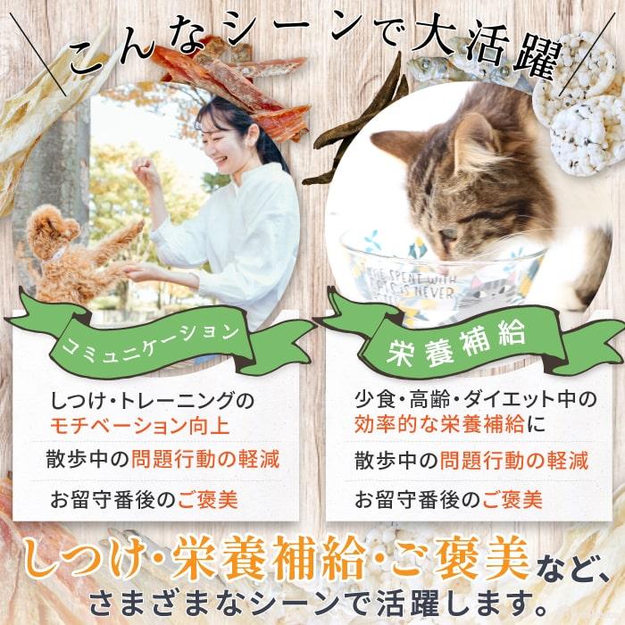 犬 おやつ 無添加 国産 無着色 豚肉 ハンバーグ ギフト ご褒美 しつけ 誕生日 レトルト トマトソースのイタリアンハンバーグ 55g 9362 ポンポリース | PomPreece | 02