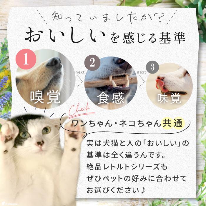 犬 おやつ 無添加 国産 無着色 豚肉 ハンバーグ ギフト ご褒美 しつけ 誕生日 レトルト トマトソースのイタリアンハンバーグ 55g 9362 ポンポリース | PomPreece | 03