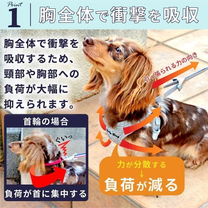 最も 犬 ハーネス リード 胴輪 かわいい 小型 脱げない 犬用 スーパーハーネス Amp リードセット 4 6号 9707 ポンポリース Cumulus 716jobfair Com
