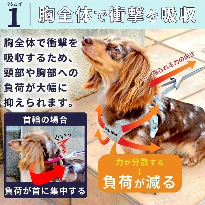 犬 ハーネス リード 胴輪 かわいい 小型  脱げない 犬用  スーパーハーネス（胴輪）&リードセット 4〜5号［9713］ポンポリース｜pomp-ya｜06