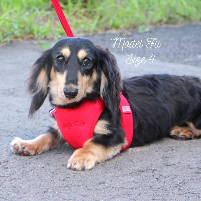 犬 ハーネス リード 胴輪 かわいい 小型  脱げない 犬用  スーパーハーネス（胴輪）&リードセット 3S〜3号 9713 ポンポリース｜pomp-ya｜02