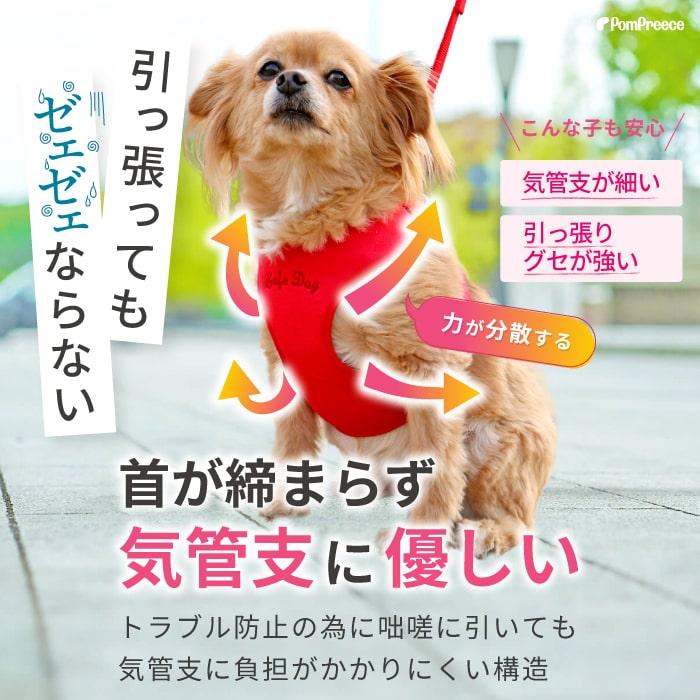 仔犬 子犬 パピー 老犬 器官に優しい 犬 ハーネス 抜けない リード付 胴輪 おしゃれ 小型犬 中型犬 スーパーハーネス＆リードセット 3S〜3号 9713 ポンポリース | PomPreece | 06