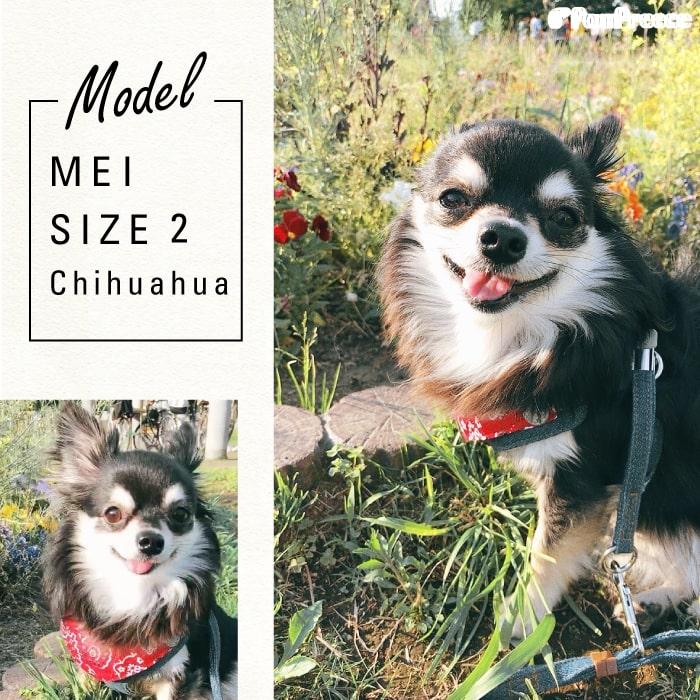 PomPreece（ポンポリース） ハーネス 犬 抜けない 器官に優しい リード