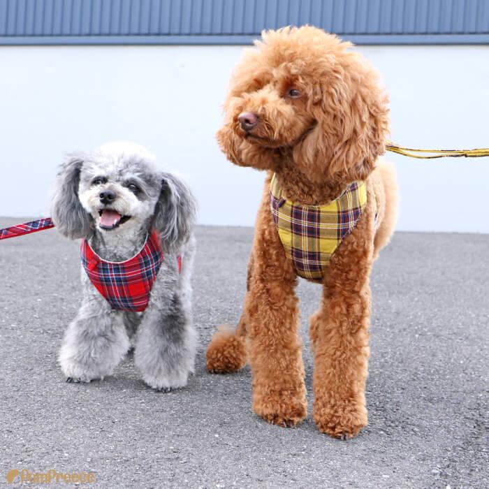 PomPreece（ポンポリース） ハーネス 犬 抜けない 器官に優しい リード