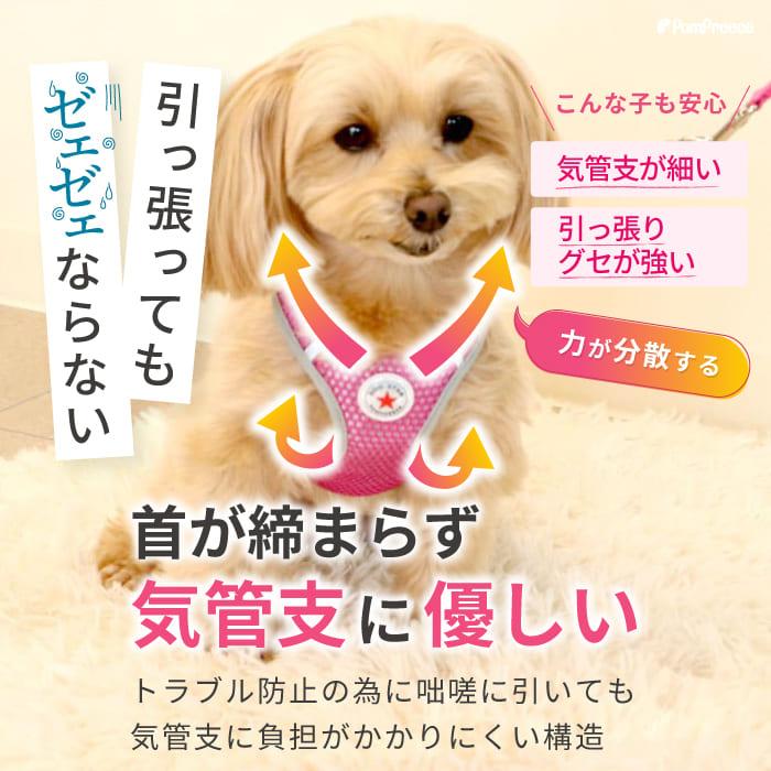 PomPreece（ポンポリース） ハーネス 抜けない 犬 犬用 メッシュ