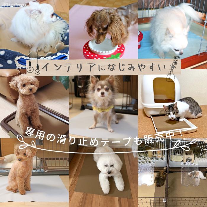 犬 ペットシーツ 破れない 洗える ペットシーツ 裏漏れしない　両面吸収 ほつれない ハイテク繊維 自由にカット可  犬 介護   日本製  M 5816 ポンポリース｜pomp-ya｜20