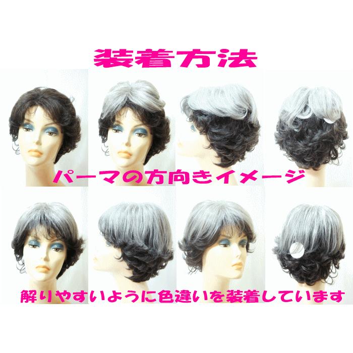 ヘアーピース/カバーピース 人毛ウィッグ/mix混毛/白髪多め ヘアーピース/カバーピース 人毛ウィッグ/mix混毛/白髪多め