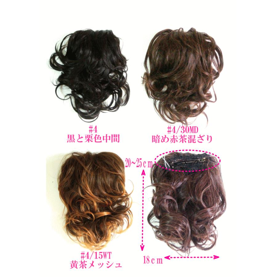 バレッタ式ウィッグ　つけ毛/耐熱180℃迄　　NB-1　ショート　和装お勧め　ネコポス可　　バレッタ付ポイントウィッグ |  | 02