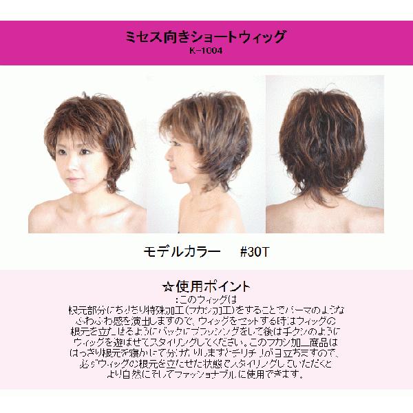 ミセスフルウィッグ ミセスに大人気 カラオケ人気 耐熱ファイバー 180度迄 ショートウィッグ Sk 1004 メール便可 Sk 1004 Pompadour ポンパドール 通販 Yahoo ショッピング