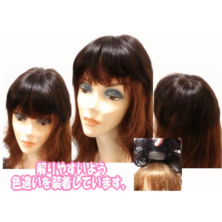 地毛引き出し式 最高級人毛100% ボリュームウィッグ 私元気！25cm、8×12◎艶髪人毛100%ダイヤモンドスキン部分
