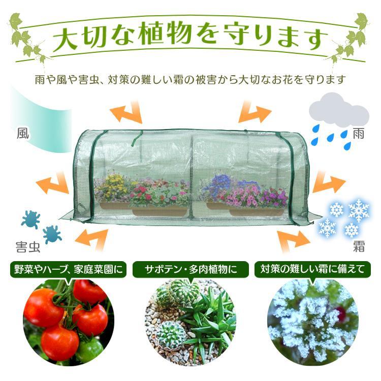 ビニールハウス 家庭用 ガーデンハウス ミニ 温室 フラワーハウス 家庭菜園 1段 横長タイプ ミニ温室 小型ビニールハウス 横型 めだか メダカ |  | 02