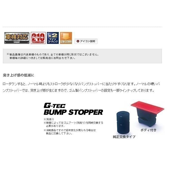 TANABE（タナベ） サスペンション ダウンサス 日産 エルグランド 2WD