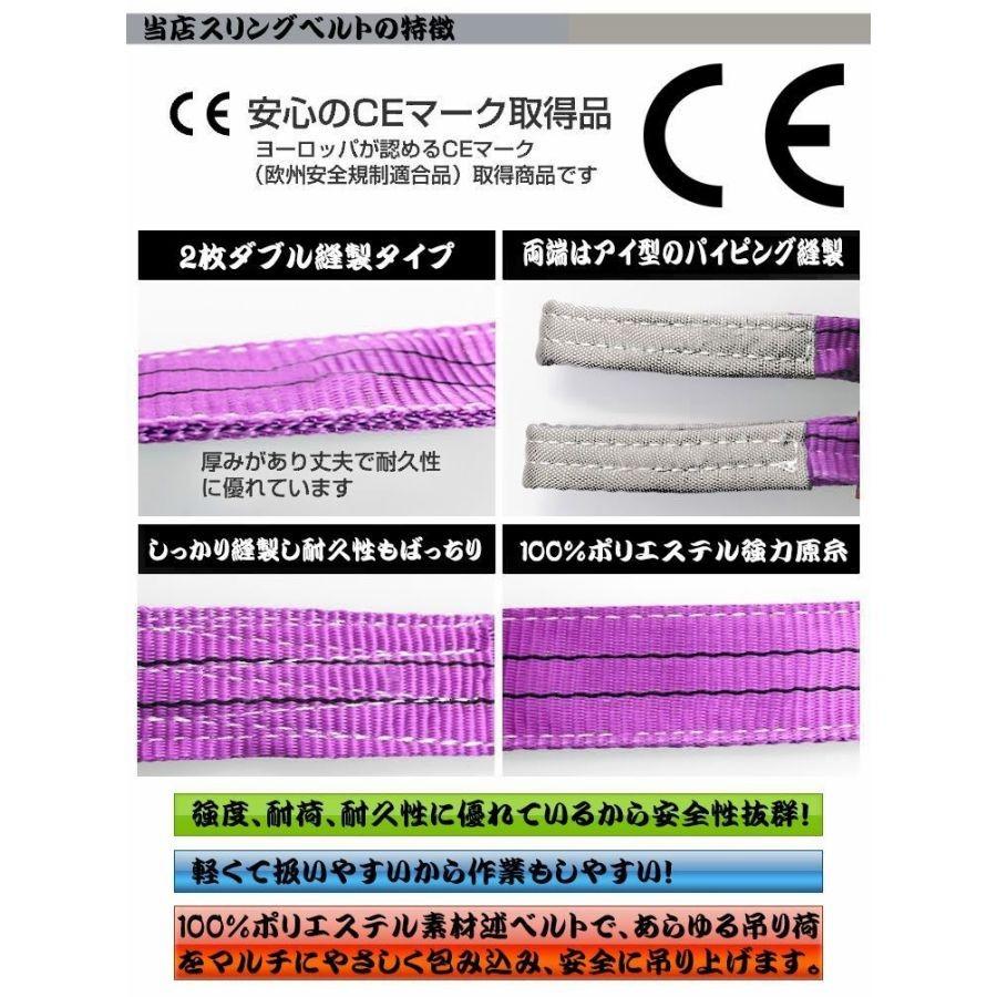 ナイロンスリングベルト 1m 幅25mm 使用荷重800kg 0.8t 吊り 荷 ナイロンスリングベルト 1m 幅25mm 使用荷重800kg 0.8t 吊り 荷