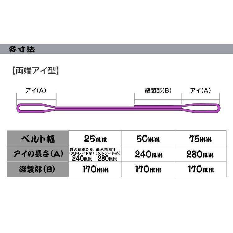 2本セット ナイロンスリングベルト 1m 幅25mm 使用荷重800kg 0.8t 吊り 荷締 吊上げ 吊荷 玉掛け 荷物 牽引 ロープ 物流 運搬 流通 車  HRS008P010SET2｜pond｜03