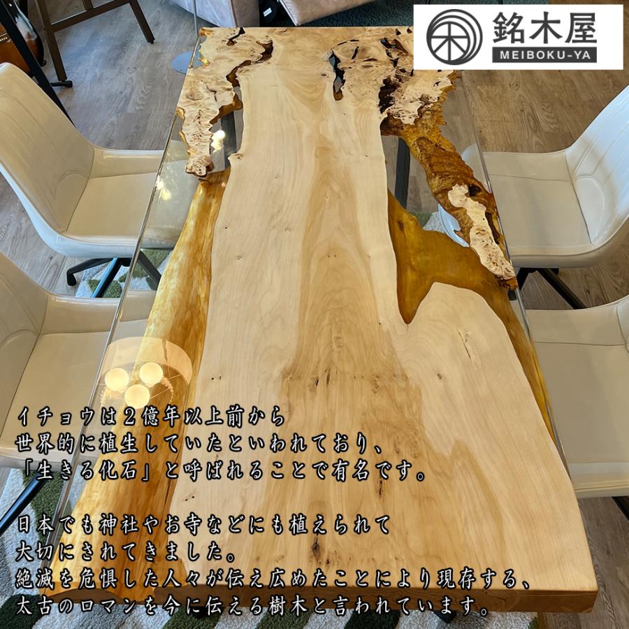 銀杏 イチョウ 一枚板 希少木材 天然木 ダイニングテーブル 銀杏 イチョウ 一枚板 希少木材 天然木 ダイニングテーブル