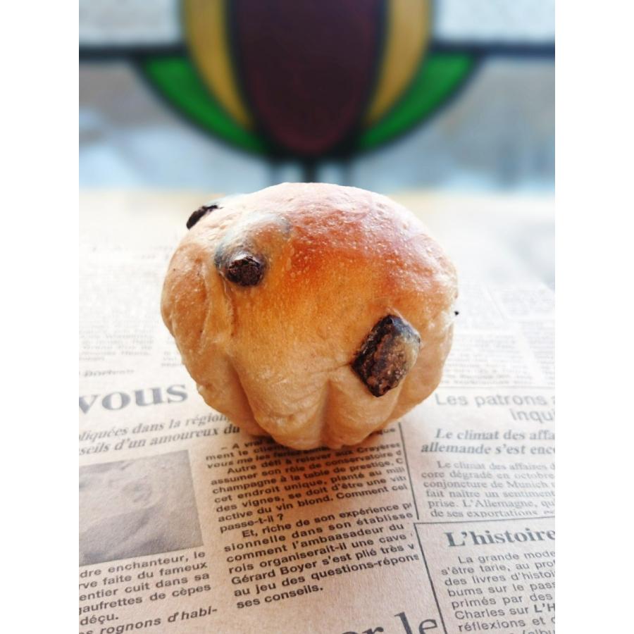 春の新作続々 チョコチップパン