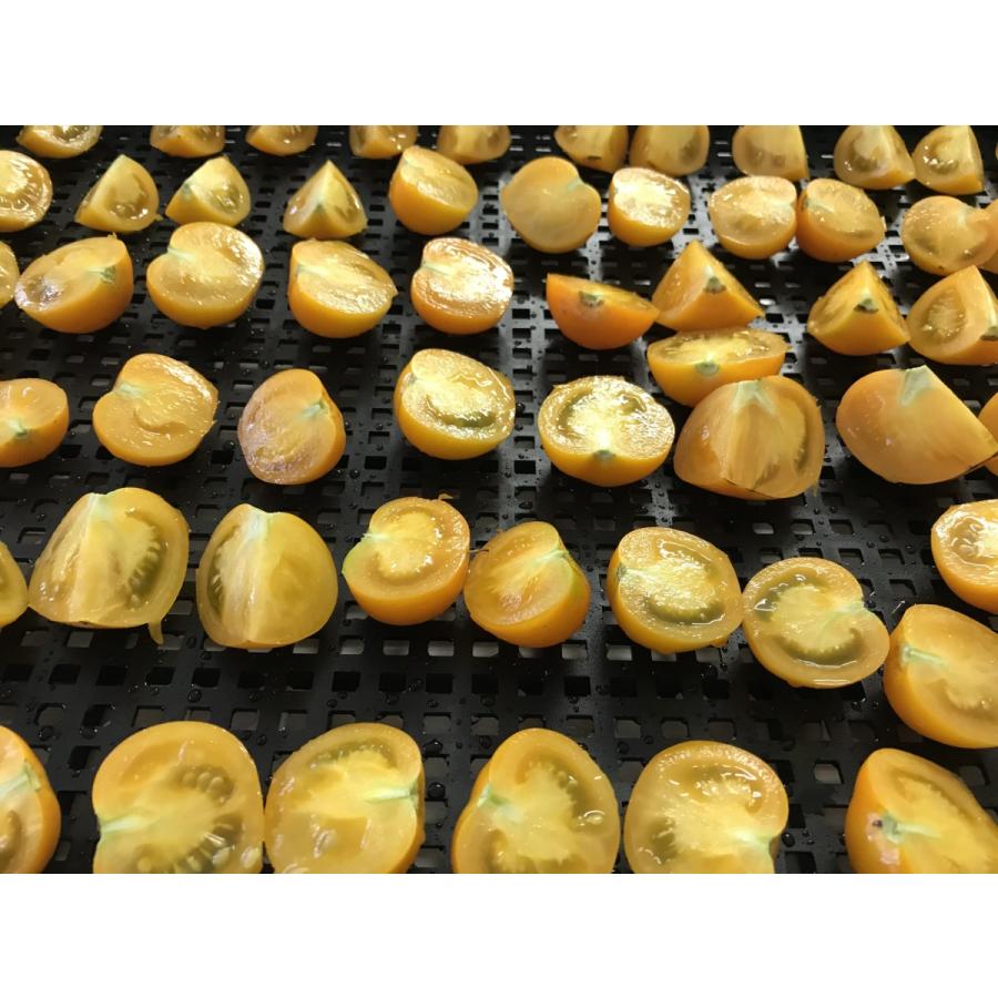 [無農薬] 濃厚完熟ドライフルーツトマト  15g [旨味凝縮] |  | 03