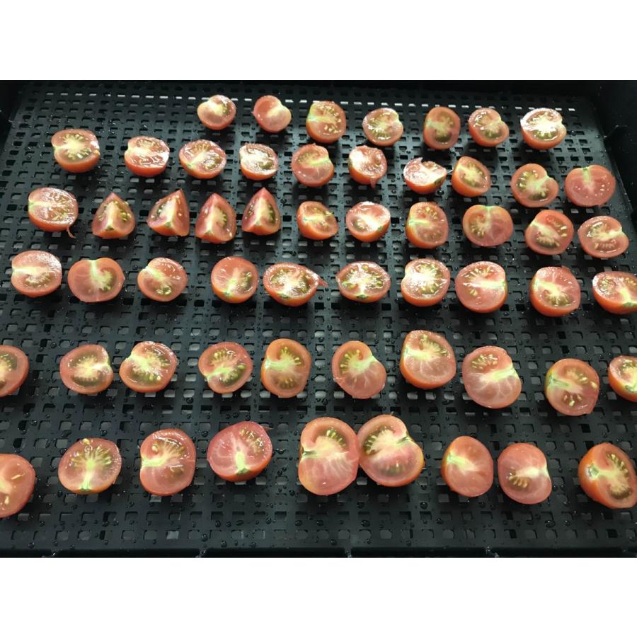 [無農薬] 濃厚完熟ドライフルーツトマト  15g [旨味凝縮] |  | 04