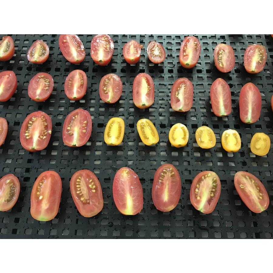 [無農薬] 濃厚完熟ドライフルーツトマト  15g [旨味凝縮] |  | 05