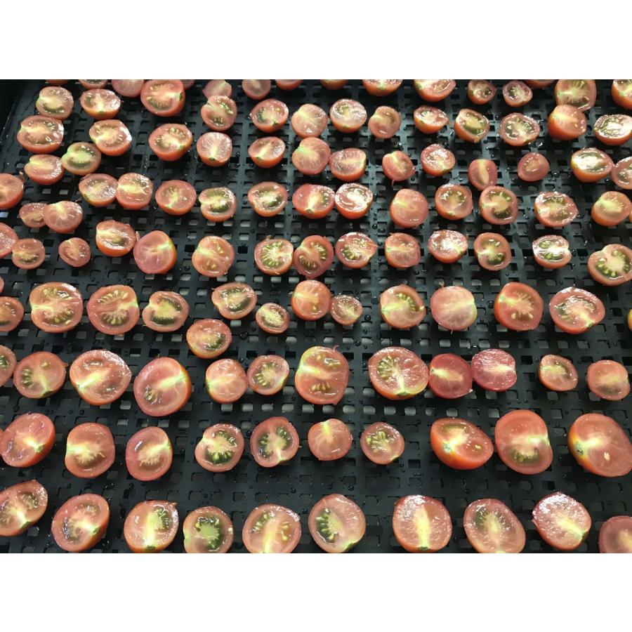 [無農薬] 濃厚完熟ドライフルーツトマト  15g [旨味凝縮] |  | 07