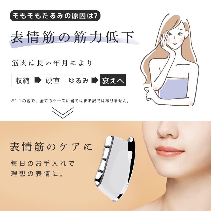 電動カッサ 美容器 EMS 高周波振動 リフトアップ マッサージ 電動カッサ 美容器 EMS 高周波振動 リフトアップ マッサージ