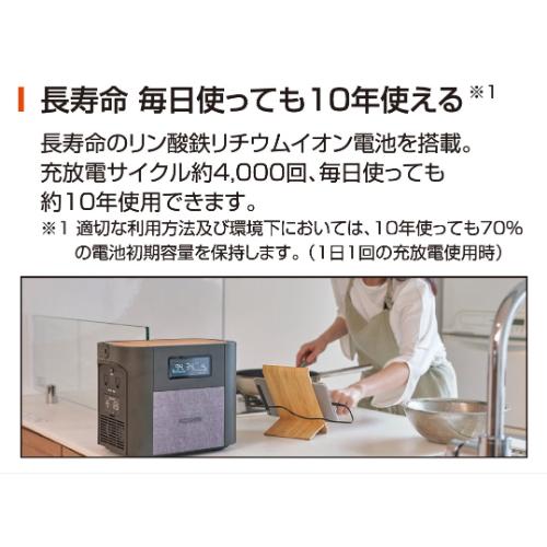 BPS-12L 工進 充電式 ポータブル 電源 発電機 蓄電器 リン酸鉄