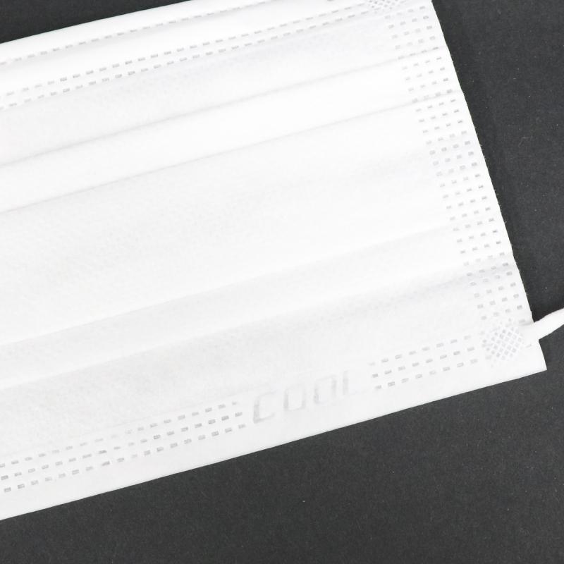 ヒロ・コーポレーション 冷感マスク 不織布 50枚 プリーツ 2箱 100枚