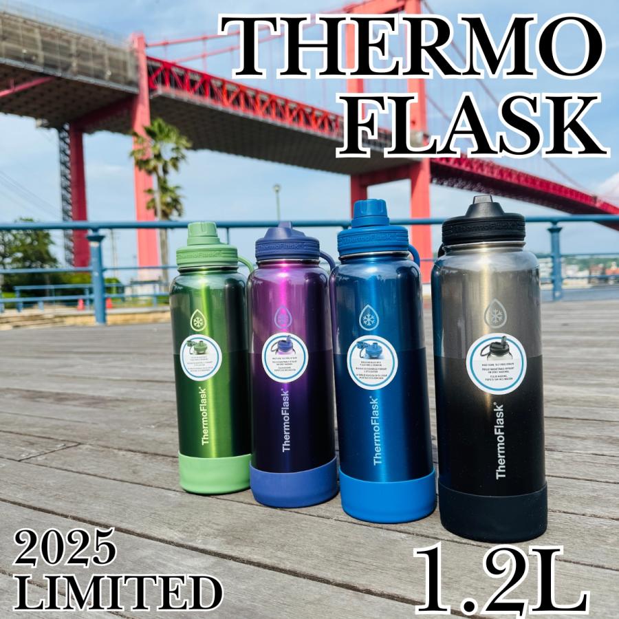 TAKEYA FLASK サーモフラスク 水筒 ストロー 2本セット 1.17 オシャレ