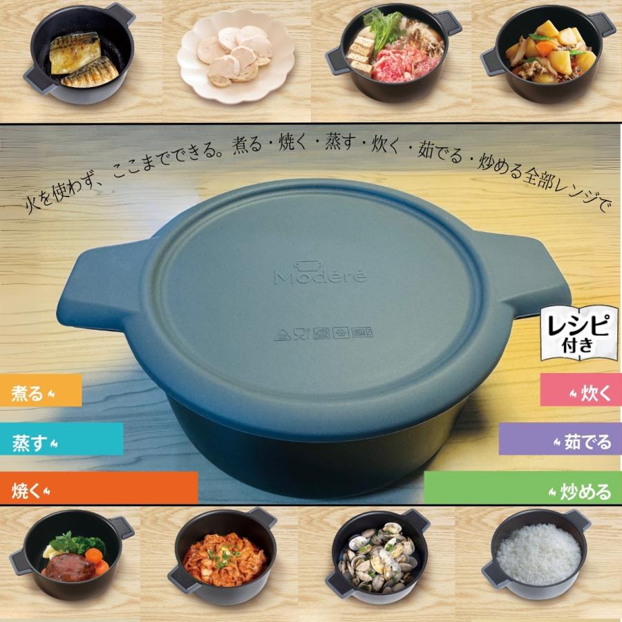 ヒロ・コーポレーション 電子レンジ調理器具 焼く 深型 魚 魚焼き