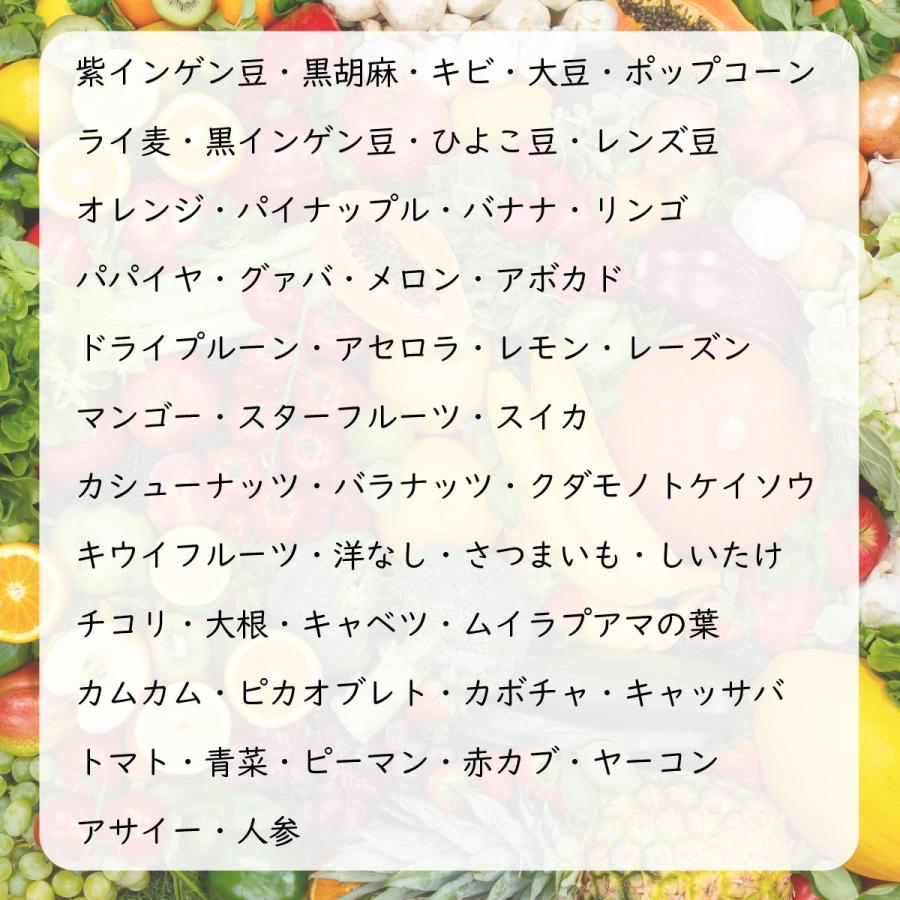 ヒロ・コーポレーション フルーツ青汁 青汁 大麦若葉 植物発酵エキス82