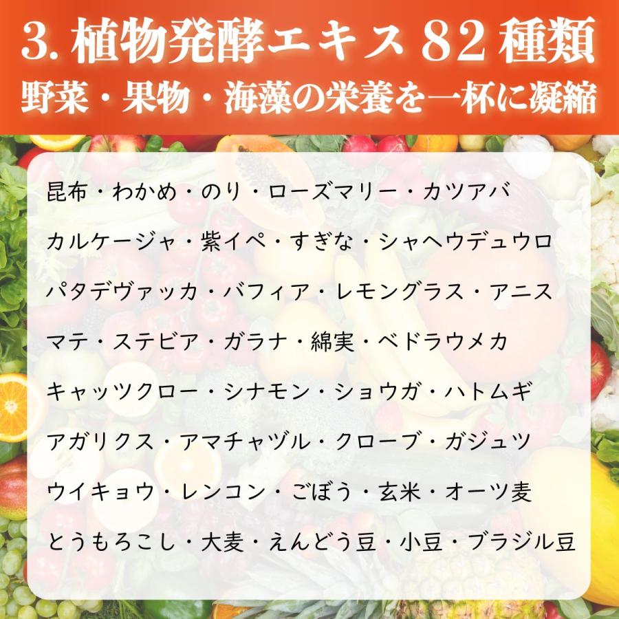 ヒロ・コーポレーション フルーツ青汁 青汁 大麦若葉 植物発酵エキス82