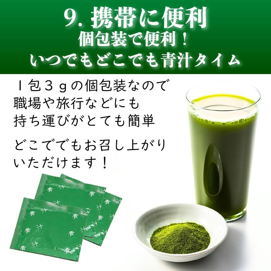 青汁 ヒロ・コーポレーション 青汁 粉末 国産 乳酸菌 酵素青汁 大麦若葉