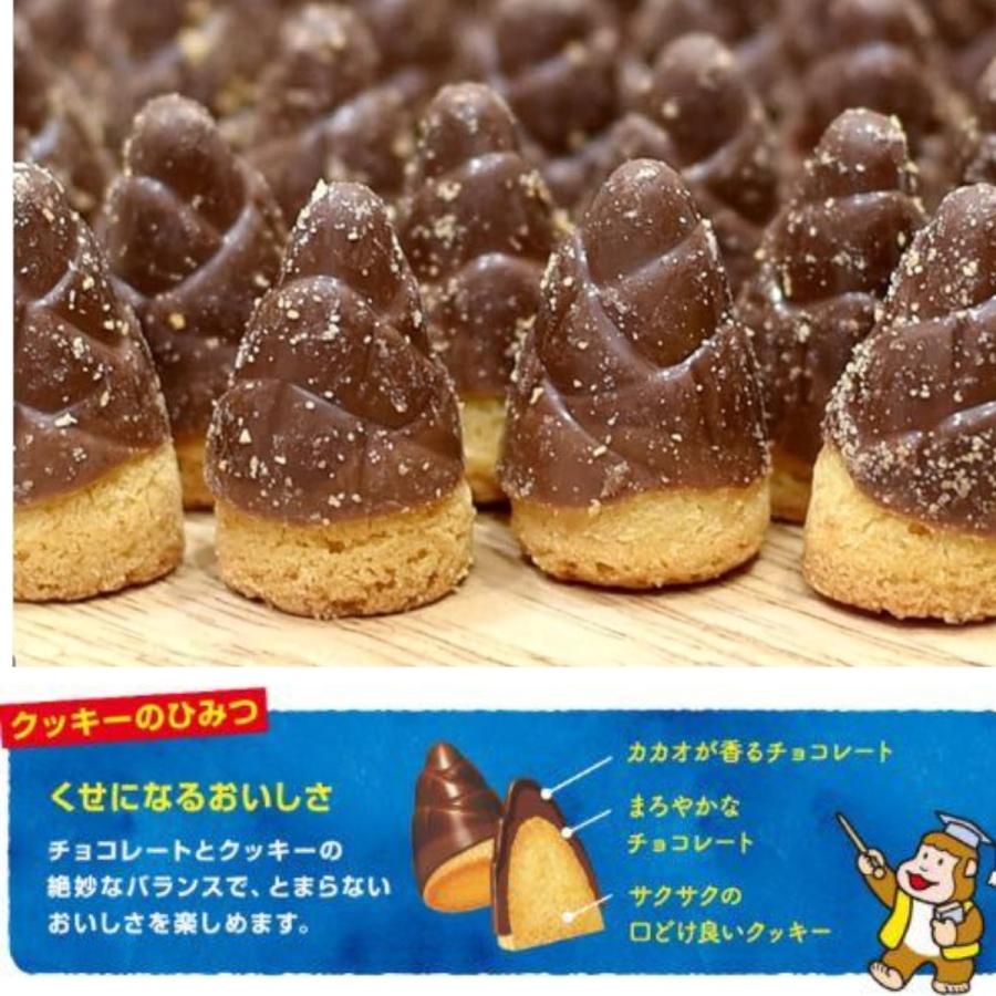 たけのこの里 60袋 個包装 チョコレート チョコ クッキー 53袋 大容量
