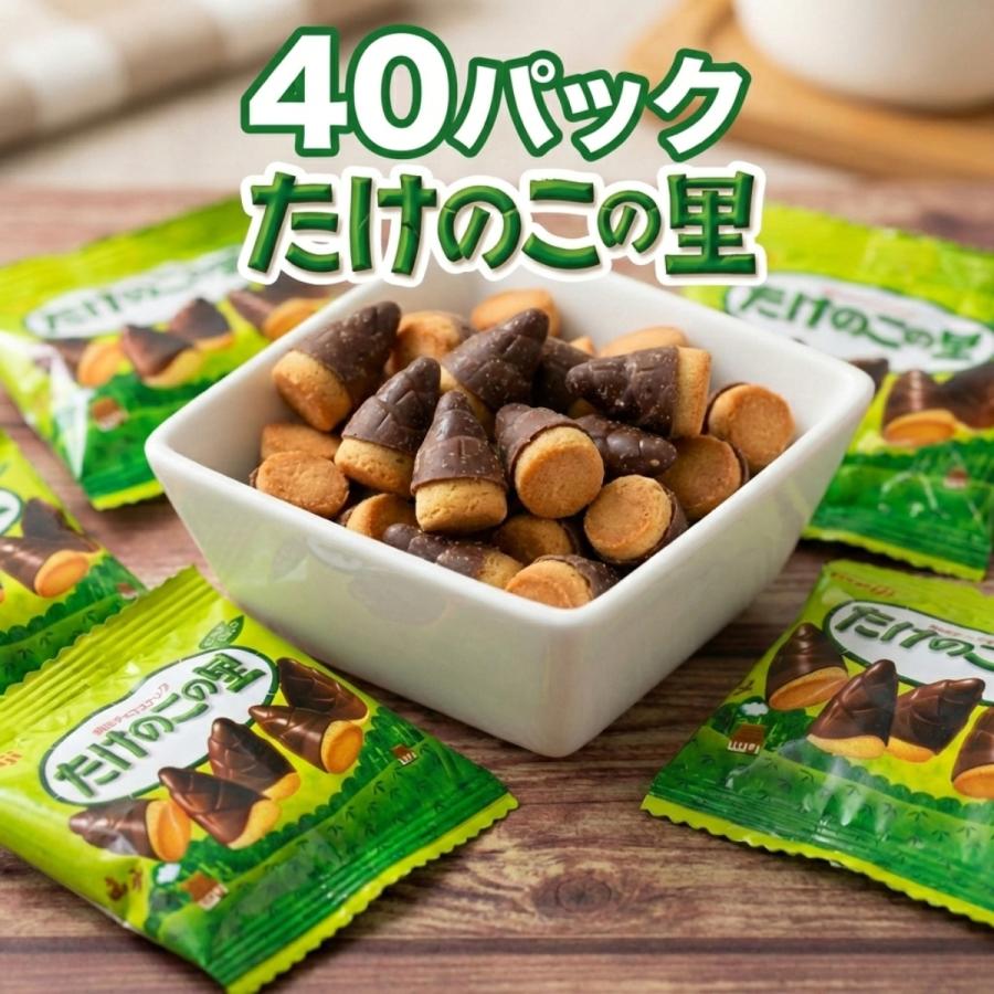 お菓子　まとめ売り　パイの実　ガーナミルクチョコレート　たけのこの里 お菓子 まとめ売り パイの実 ガーナミルクチョコレート たけのこの里