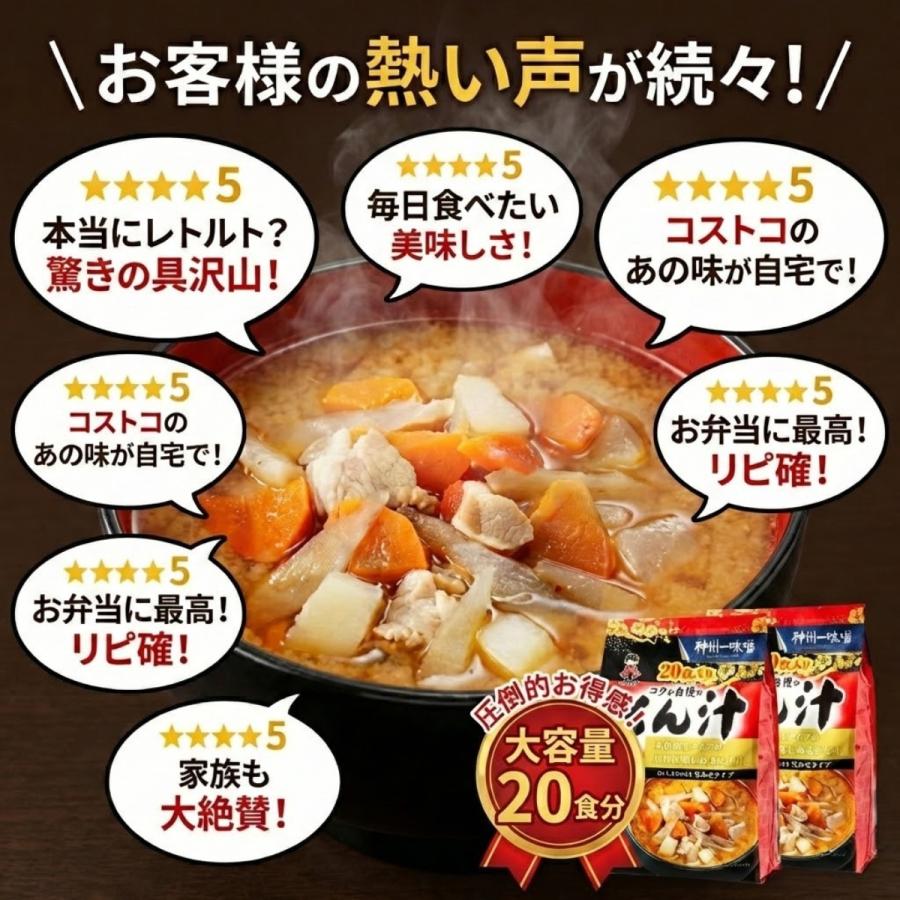神州一味噌（Shinsyu-ichi Miso） 2袋 コクが自慢のとん汁 20食 577393