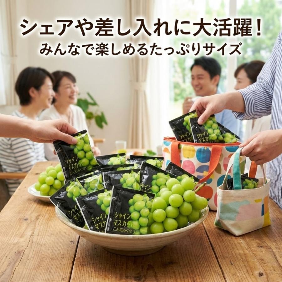 コストコ（Costco） こんにゃくゼリー シャインマスカット 50袋 個包装