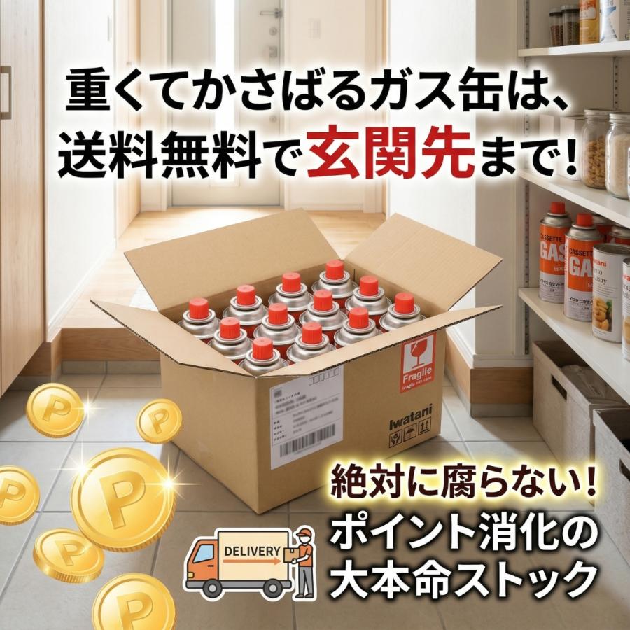 Iwatani（イワタニ） カセットガス 3本 セット CB-250-OR カセット