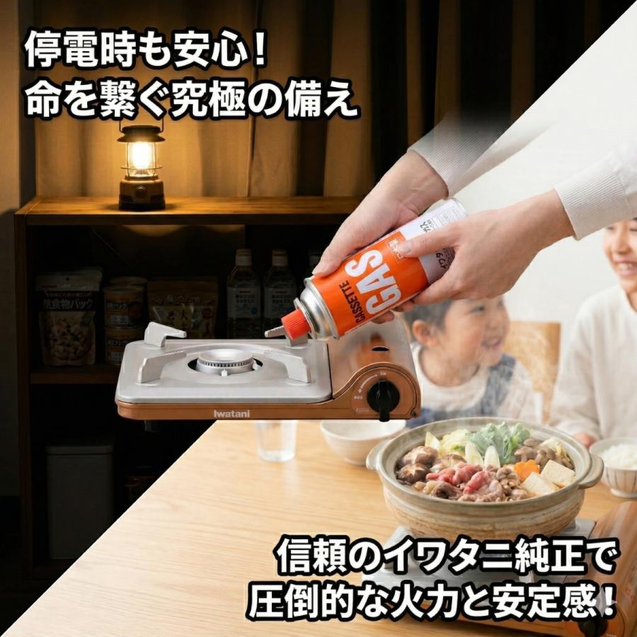 Iwatani（イワタニ） カセットガス 6本 セット CB-250-OR カセット